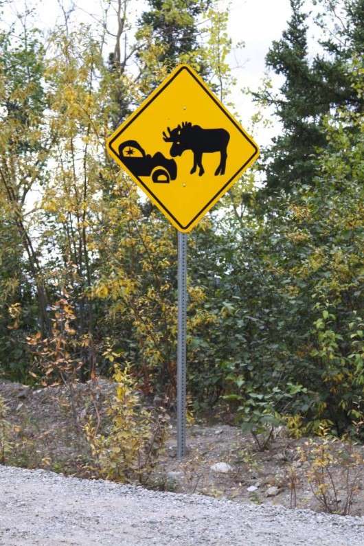 Смішні дорожні знаки