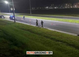 Мотоцикл збив козулю в гродно: перше дтп на новій об’їзній біля східного моста