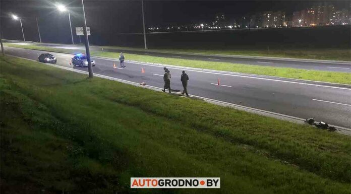 Мотоцикл збив козулю в гродно: перше дтп на новій об’їзній біля східного моста