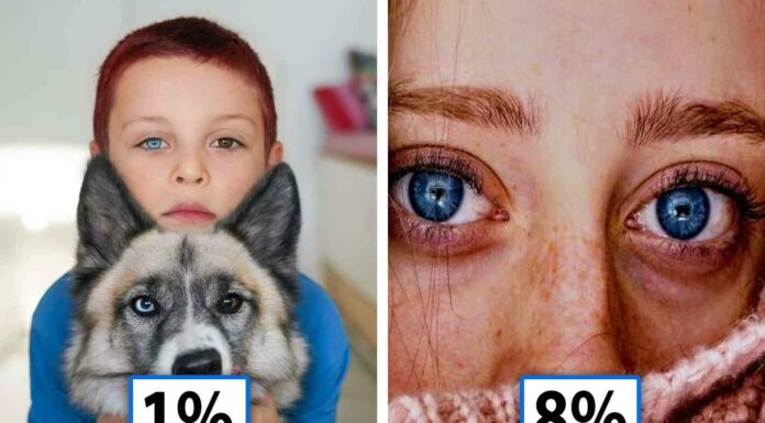 35 рідкісних (і не дуже) особливостей організму людини, які ми отримуємо у спадок