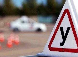 В українських автошколах україни додасться предметів: чого навчатимуть майбутніх водіїв