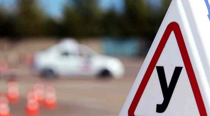 В українських автошколах україни додасться предметів: чого навчатимуть майбутніх водіїв
