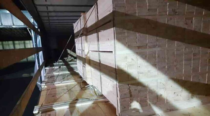 У польщі сім’ю нелегалів знайшли в опломбованій фурі з білорусі