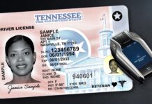 Tennessee zvažuje testy řidičského průkazu pouze v angličtině uprostřed debaty o bezpečnosti