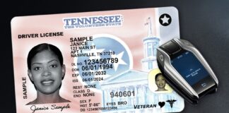 Tennessee erwägt angesichts der Sicherheitsdebatte nur englischsprachige Fahrertests