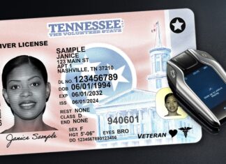 Tennessee zvažuje testy řidičského průkazu pouze v angličtině uprostřed debaty o bezpečnosti
