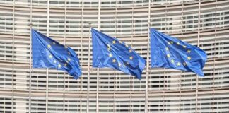 Accord commercial Australie-UE : les voitures européennes seront-elles moins chères ?