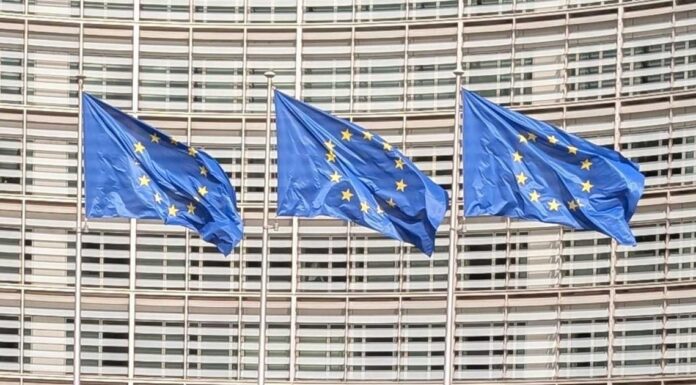 Торгівельна угода між Австралією та ЄС: Чи стануть європейські автомобілі дешевшими?