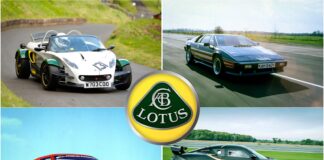 Lotus: Die Hits, Misses und alles dazwischen